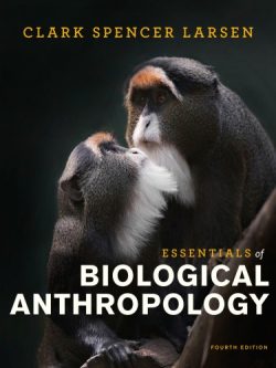 Essentials of Biological Anthropology (4th Edition)