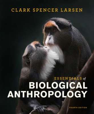 Essentials of Biological Anthropology (4th Edition)