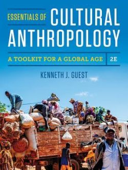 Essentials of Cultural Anthropology: A Toolkit for a Global Age (2nd Edition)