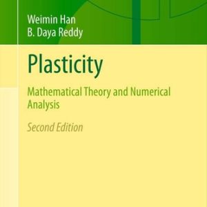 Plasticity (Mathematical Theory and Numerical Analysis) (2nd Edition)