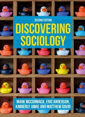 Discovering Sociology (2nd Edition)