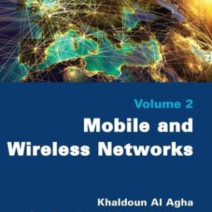Mobile and Wireless Networks (1st Edition)