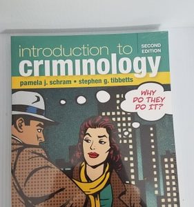Introduction to Criminology Why Do They Do It? (2nd Edition)