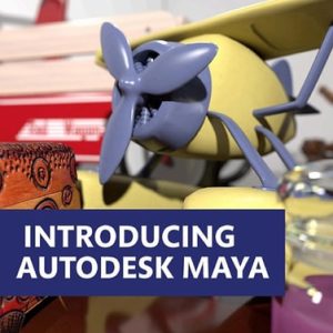 Introducing Autodesk Maya (1st Edition)
