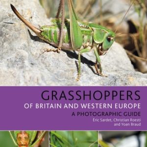 Grasshoppers of Britain and Western Europe (A Photographic Guide)