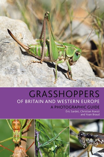 Grasshoppers of Britain and Western Europe (A Photographic Guide)