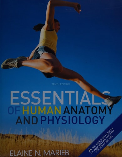 Essentials of Human Anatomy and Physiology (10th Edition)