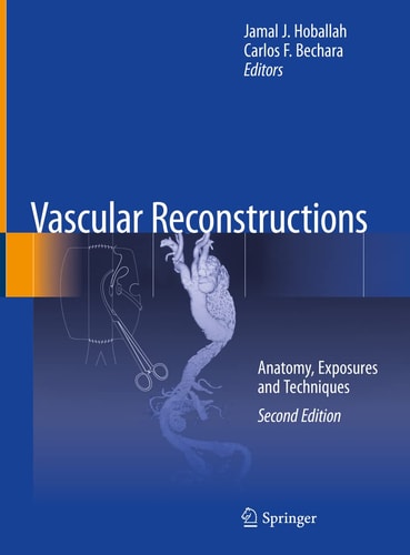 Vascular Reconstructions (Anatomy, Exposures and Techniques) (2nd Edition)