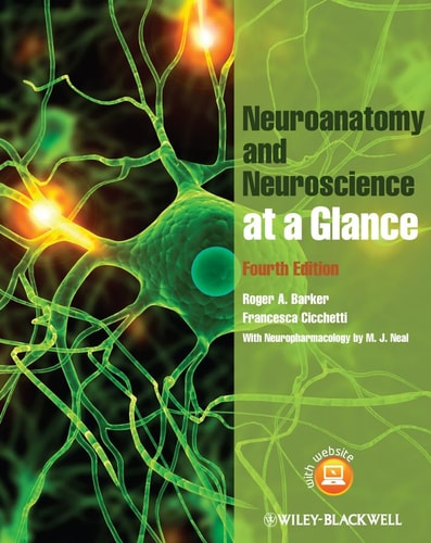 Neuroanatomy and Neuroscience at a Glance (4th Edition)