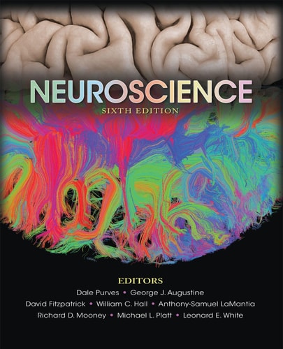 Neuroscience (6th Edition)