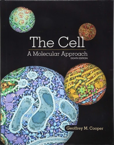 The Cell A Molecular Approach (8th Edition)