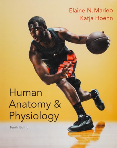 Human Anatomy & Physiology (10th Edition)