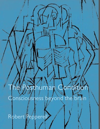 The Posthuman Condition (Consciousness Beyond the Brain) (2nd Edition)