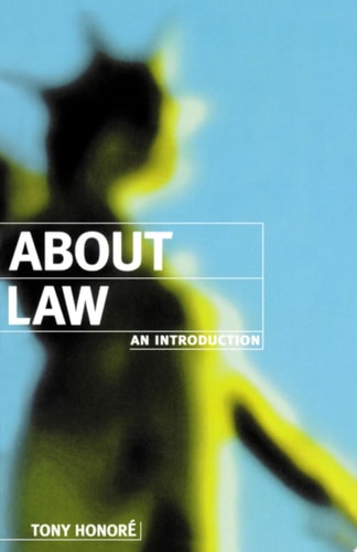 About Law An Introduction (1st Edition)