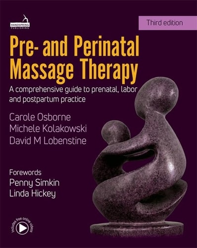 Pre- and Perinatal Massage Therapy (A Comprehensive Guide to Prenatal, Labor and Postpartum Practice) (3rd Edition)