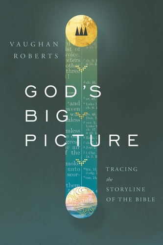 God's Big Picture Tracing the Storyline of the Bible (1st Edition)