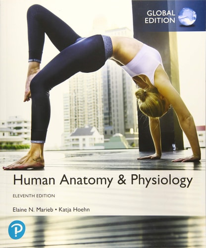 Human Anatomy & Physiology, Global Edition (11th Edition)