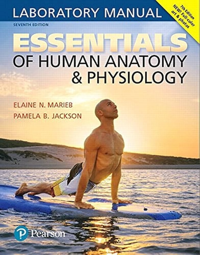 Essentials of Human Anatomy & Physiology Laboratory Manual (7th Edition)