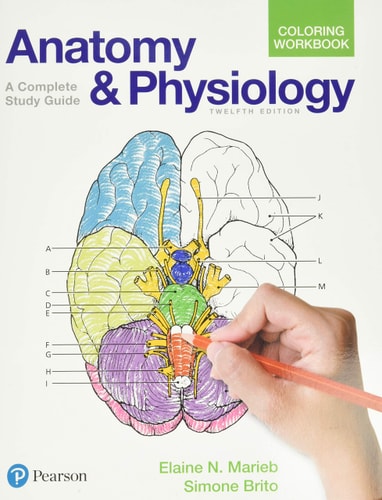 Anatomy and Physiology Coloring Workbook (A Complete Study Guide) (12th Edition)