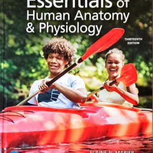 Essentials of Human Anatomy & Physiology (1st Edition)