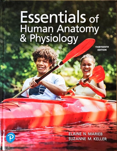 Essentials of Human Anatomy & Physiology (1st Edition)