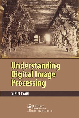 Understanding Digital Image Processing (1st Edition)