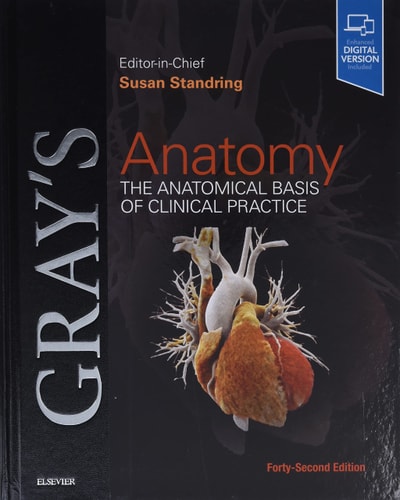 Gray's Anatomy The Anatomical Basis of Clinical Practice (42nd Edition)