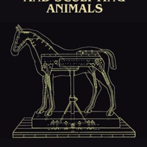 Modelling and Sculpting Animals