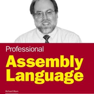 Professional Assembly Language