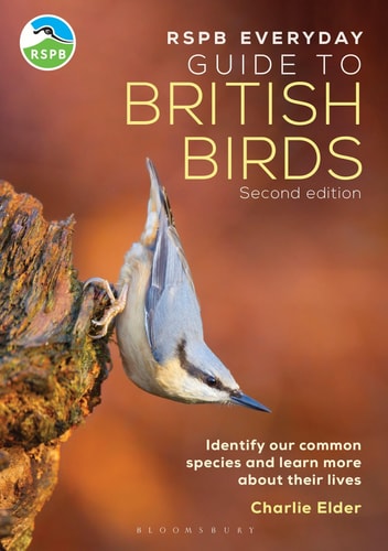 The RSPB Everyday Guide to British Birds (Identify our common species and learn more about their lives) (2nd Edition)