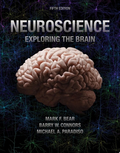 Neuroscience: Exploring the Brain (5th Edition)