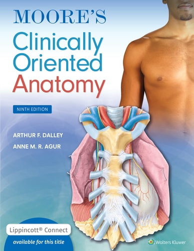 Moore's Clinically Oriented Anatomy (9th Edition)