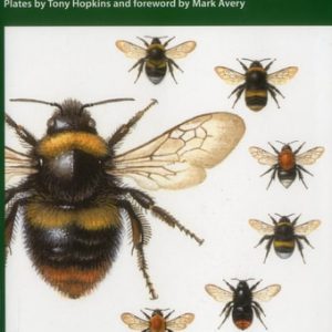 Bumblebees (3rd Edition)