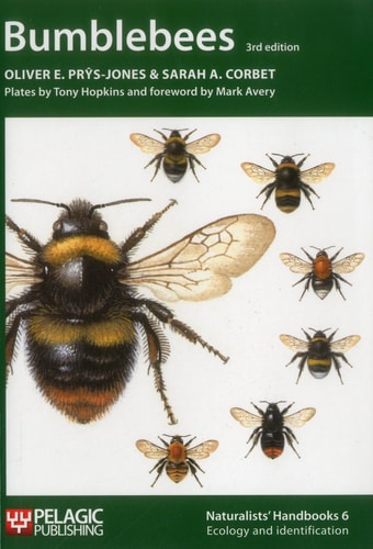 Bumblebees (3rd Edition)