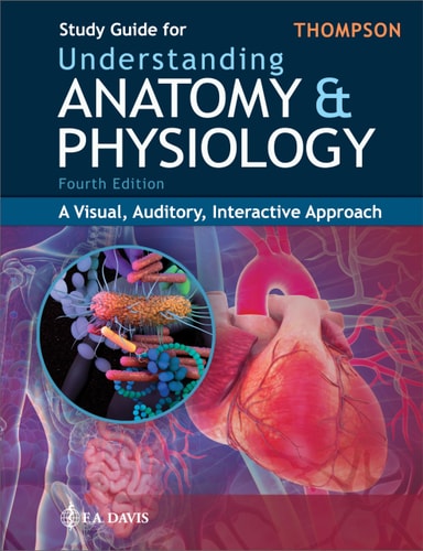 Study Guide for Understanding Anatomy and Physiology A Visual, Auditory, Interactive Approach (4th Edition)
