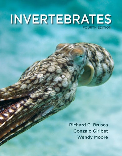 Invertebrates (4th Edition)
