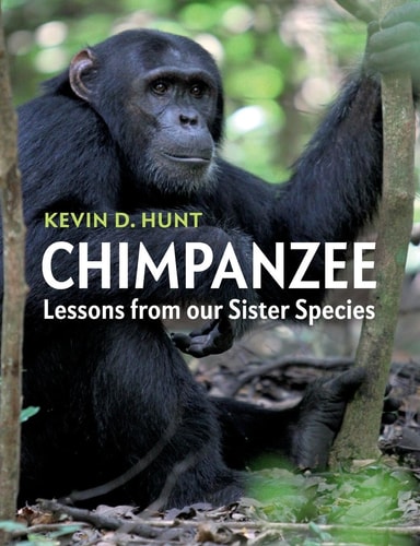 Chimpanzee: Lessons from our Sister Species (1st Edition)