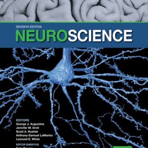 Neuroscience (7th Edition)