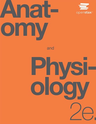 Anatomy and Physiology – CoachMe Enhanced Version (2nd Edition)