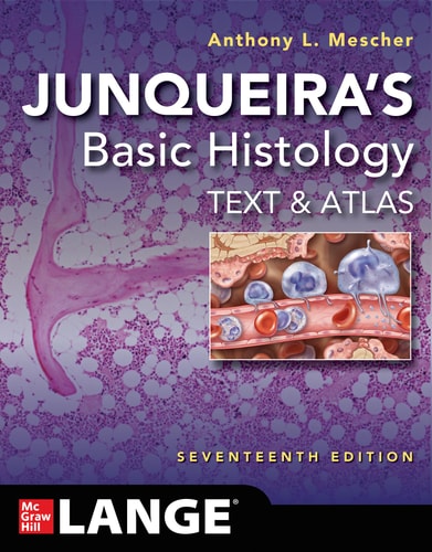 Junqueira's Basic Histology Text and Atlas (17th Edition)